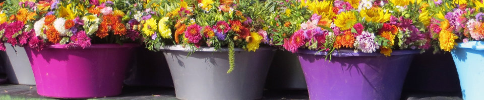 Kunststoff Blumentoepfe