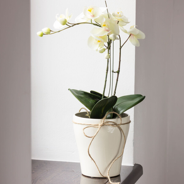 Keramik 1,5 Liter Blumentopf 15,5 cm hoch glasierter Keramiktopf Vase