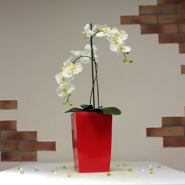 Kunststoff Blumentopf 4 Liter Übertopf Hauseingangskübel Pflanztopf