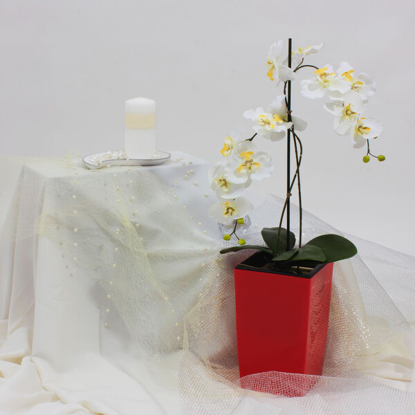 Kunststoff Blumentopf 4 Liter Übertopf Hauseingangskübel Pflanztopf