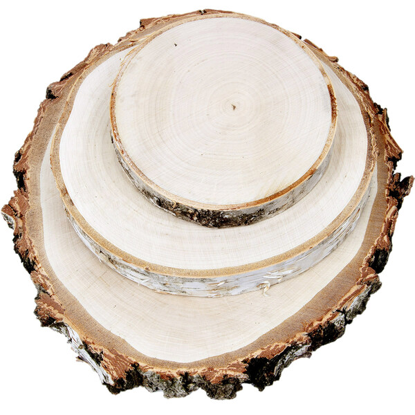 Baumscheiben 3 Stück große Birkenscheibe Ø 15 bis 35 cm geschliffen Holzscheiben