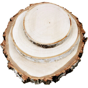 Baumscheiben 3 Stück große Birkenscheibe Ø 15 bis 35 cm...