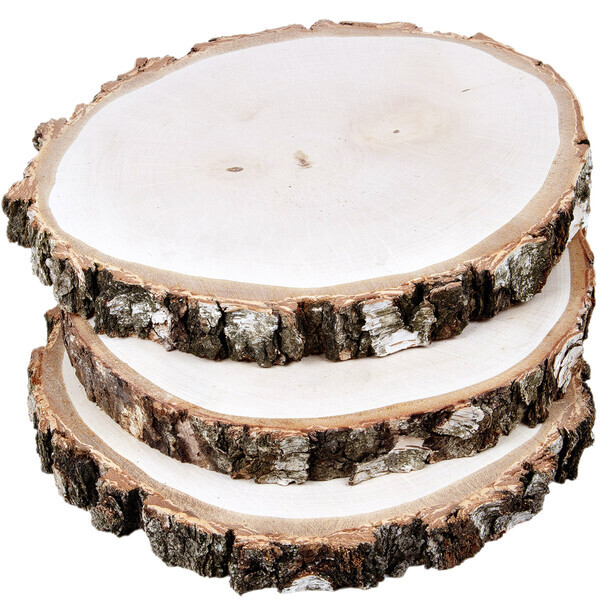 große, schwere Birkenscheiben 3 Stück Holz Natur Ø 25 - 35 cm Holzscheiben unbehandelt