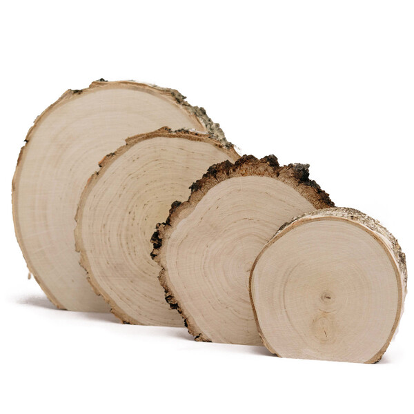 drei groe Baumscheiben  15 bis 35 cm