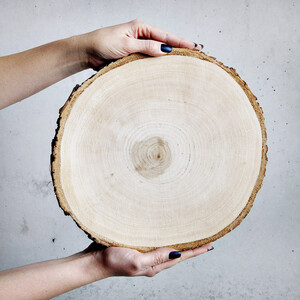 drei große Baumscheiben Ø 15 bis 35 cm