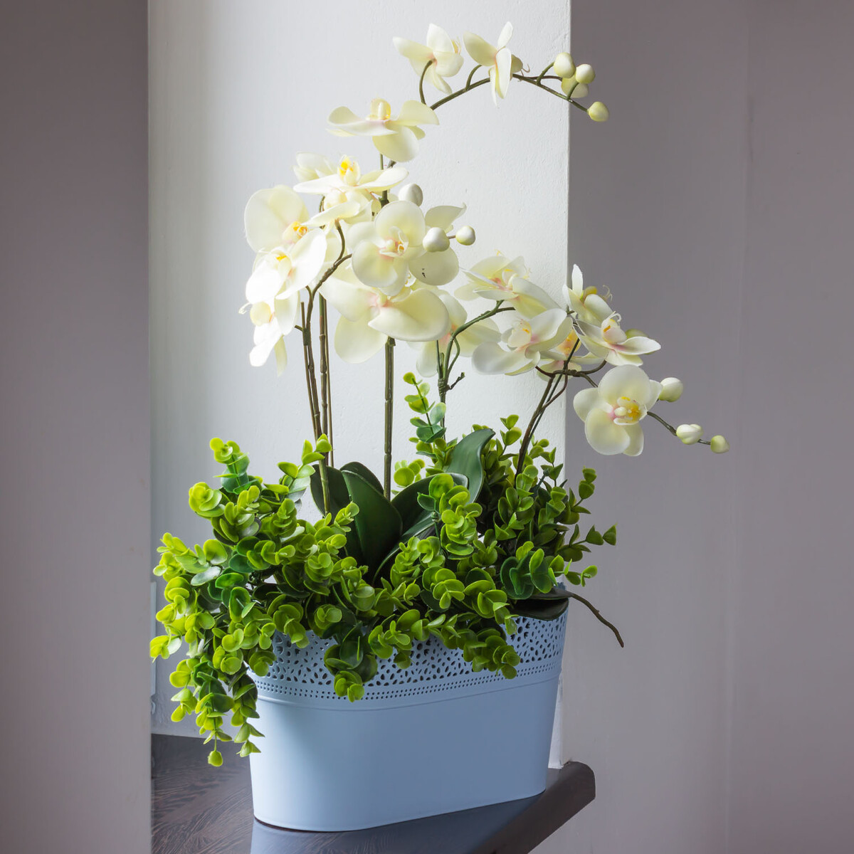 Töpfe Schalen im 2er Set 4,7 Liter Übertöpfe Spitzenrand Orchideenscha,  1,98 € | Pflanzschalen