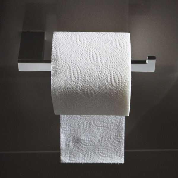 schwerer Toilettenpapierhalter aus Edelstahl ohne Sichtschutz