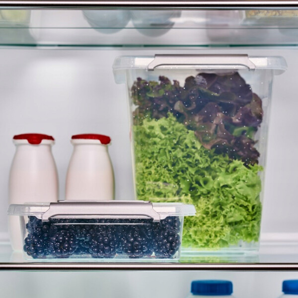Frischhaltebox 0,35 Liter Frischhaltebehlter fr Lebensmittel im Khl- oder Gefrierschrank