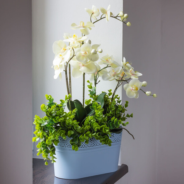 Blumentopf 4,7 Liter Schale Spitzenrand 29 cm lang offener Orchideentopf